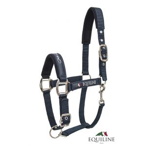 E00123 CAPEZZA EQUILINE TIMMY