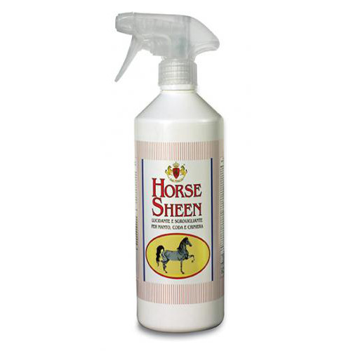 horse-sheen
