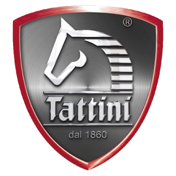 Tattini