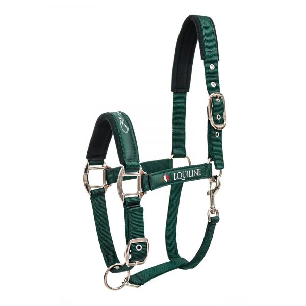 E00123 CAPEZZA TIMMY EQUILINE VERDE