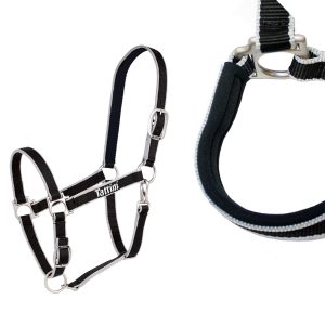 CAPEZZA TATTINI IMBOTTITA