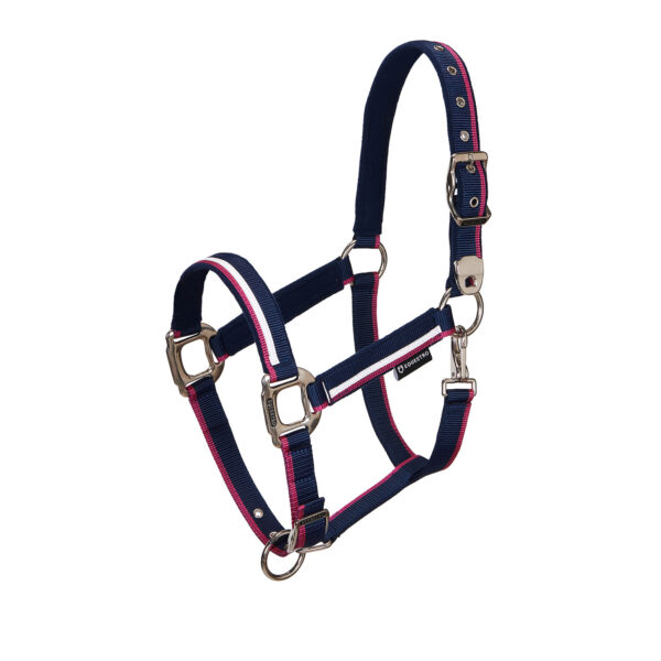 CA00031 Capezza+lunghina Equestro white trim Blu:Fucsia