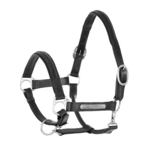 CAVEZZA CUOIO DOPPIATO FIBBIE OTTONE