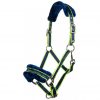 12599_Capezza Equestrian Blu:Giallo